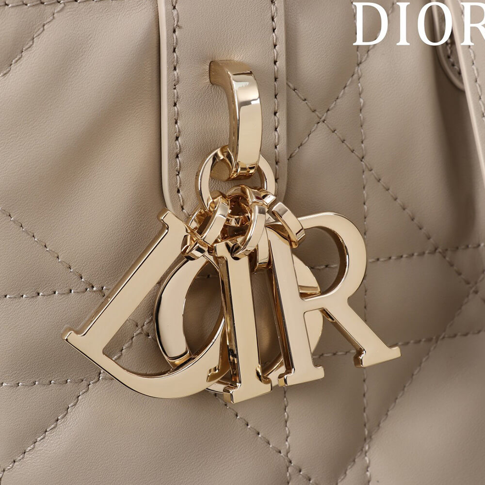 Small Dior Toujours Vertical Tote Bag(high-end grade)