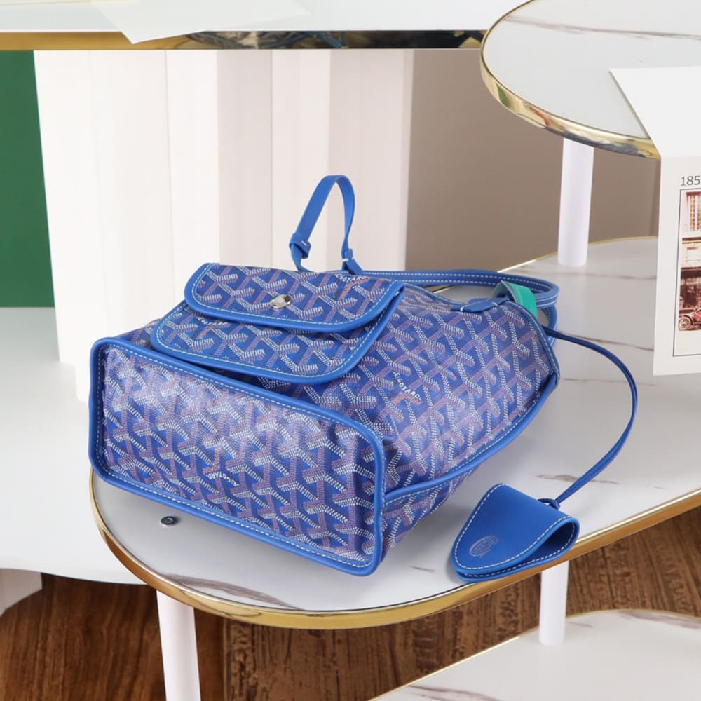 Goyard Anjou Mini Bag