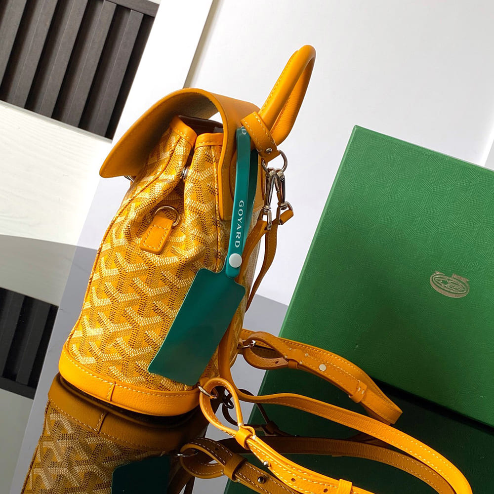 Goyard Alpin Mini Backpack