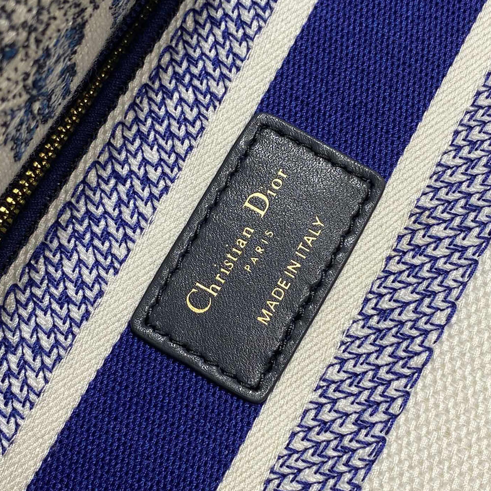 Dior Medium Lady D-Lite Bag