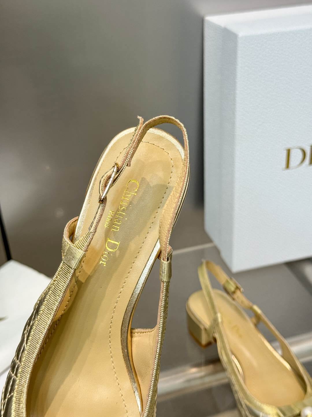 Dior Ballet Slingback Pump