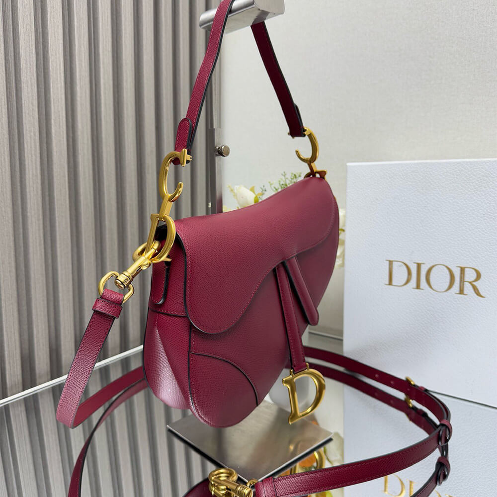 Dior Saddle Bag with Strap