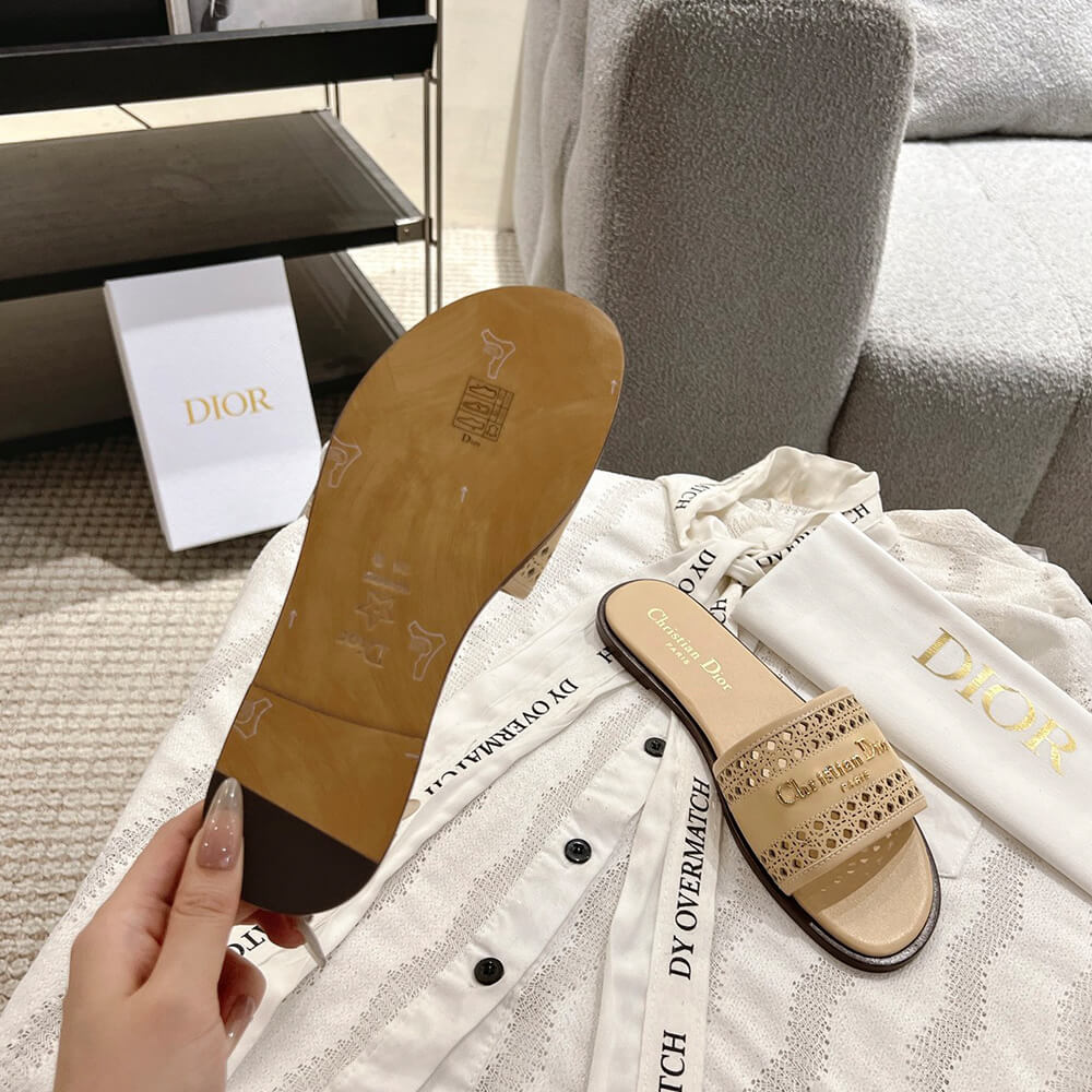 DIOR D-Lane Slide