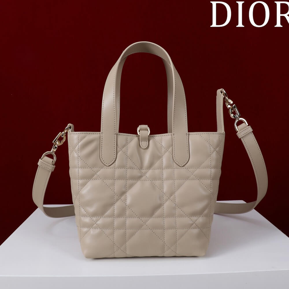 Small Dior Toujours Vertical Tote Bag(high-end grade)