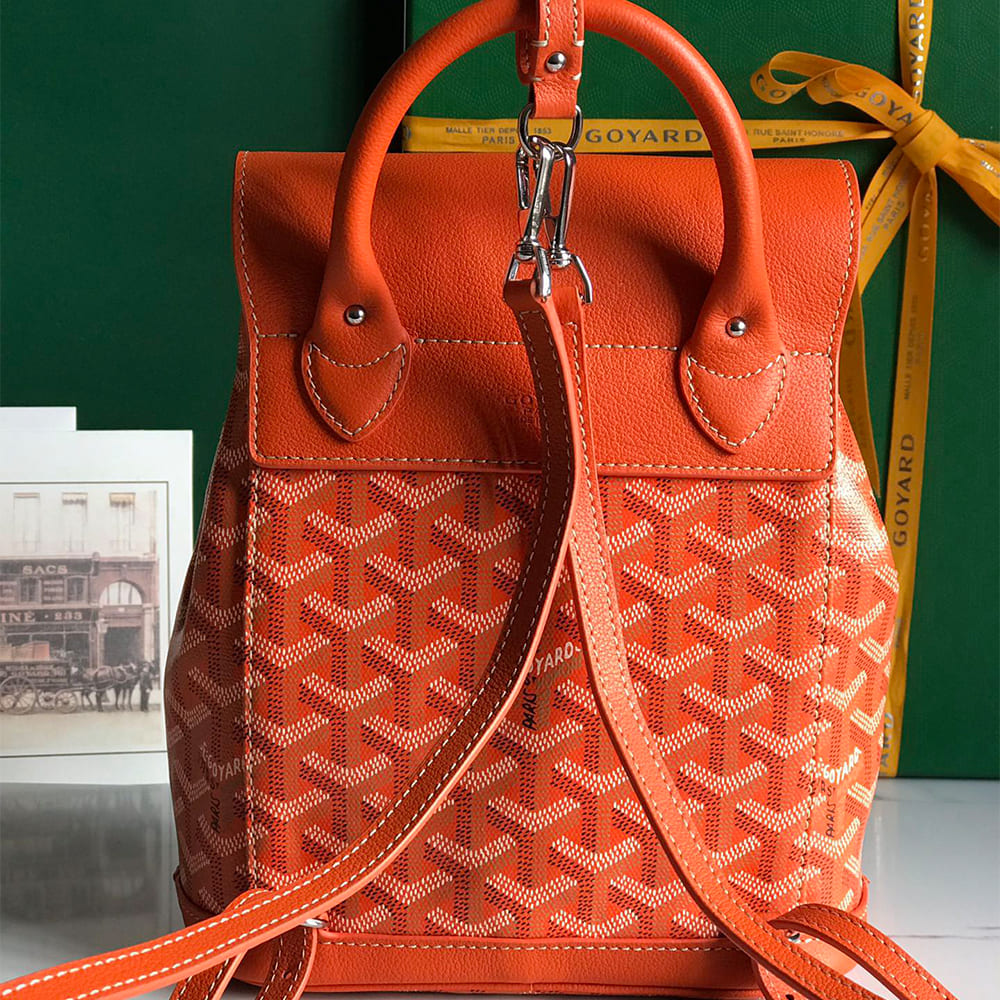 Goyard Alpin Mini Backpack